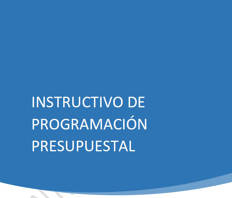 Instructivo De Programación Presupuestal 2023 